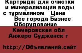 Картридж для очистки и минерализации воды с турмалином › Цена ­ 1 000 - Все города Бизнес » Оборудование   . Кемеровская обл.,Анжеро-Судженск г.